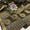 Pashmina Jacquard Shawl Collection