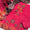 3 PC Unstitched Dhanak Dress Collection