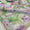 2 PC Unstitched Shamoze Silk Dress Collection
