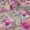 2 PC Unstitched Shamoze Silk Dress Collection