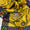 Digital Printed Dhanak Shawl Collection