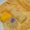 3 PC Unstitched Paper Cotton Dress Collection