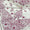 Elegant Hand Stitched Lawn Chaddar Collection