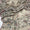 Hand Embroidered Lawn Chaddar Collection