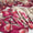 3 PC Unstitched Shamoze Silk Dress Collection