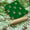 3 PC Unstitched Fancy Dress Collection