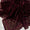 Velvet Embroidered Latest Design Shawls - S16