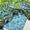 3 PC Lawn Printed Unstitched Collection