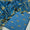 3 PC Lawn Printed Unstitched Collection