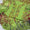 3 PC Unstitched Hand Embroidered Lawn Collection