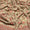 Handmade Embroidered Swiss Lawn Chaddar