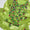 3 PC Unstitched Lawn Hand Embroidered Dress
