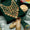 3 PC Unstitched Fancy Dress Collection