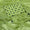 3 PC Unstitched Lawn Dress Collection
