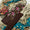 3 PC Unstitched Linen Dress Collection