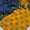 3 PC Unstitched Lawn Dress Collection