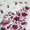 2 PC Unstitched Hand Embroidered Chiffon Dress Collection