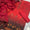 3 PC Unstitched Lawn Collection