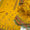 3 PC Unstitched Lawn Collection
