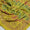 Lawn Embroidered Dupattas/Chaddars Collection