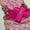 Unstitched 3 PC Fancy Dress