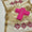 Unstitched 3 PC Fancy Dress