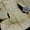 2 PC Slub Khadi Net Shirt and Dupatta