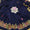 Velvet Pani Sheesha Embroidered Shawl