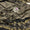 Pashmina Jacquard Shawl Collection