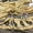 Pashmina Jacquard Shawl Collection