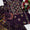 3PC  Handmade GulAhmed Lawn Dress with Kacha Pakka Tanka & Tarkashi Embroidery