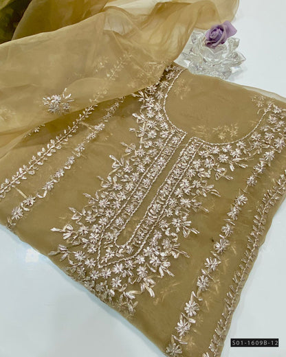 Handmade 2 PC Unstitched Organza Dress Collection