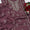 2PC Hand-Embroidered Chiffon Dress with LCD Gotta Work – Festive Collection