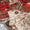 3 PC Unstitched Shamoze Silk Dress Collection
