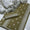 3 PC Unstitched Cotton Lawn Dress Collection