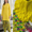 Most Trending Pure Lawn 2PC Unstitched Suit | All-Over Boring Work
