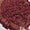 Velvet Shawl's Collection - S16