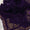 Velvet Embroidered Latest Design Shawls - S16