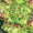 3 PC Unstitched Lawn Hand Embroidered Dress