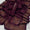 3-Piece Pure Pashmina Wool Winter Collection