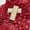 3 PC Unstitched Winter Collection