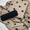 3-Piece Pashmina Wool Embroidered Unstitched Collection